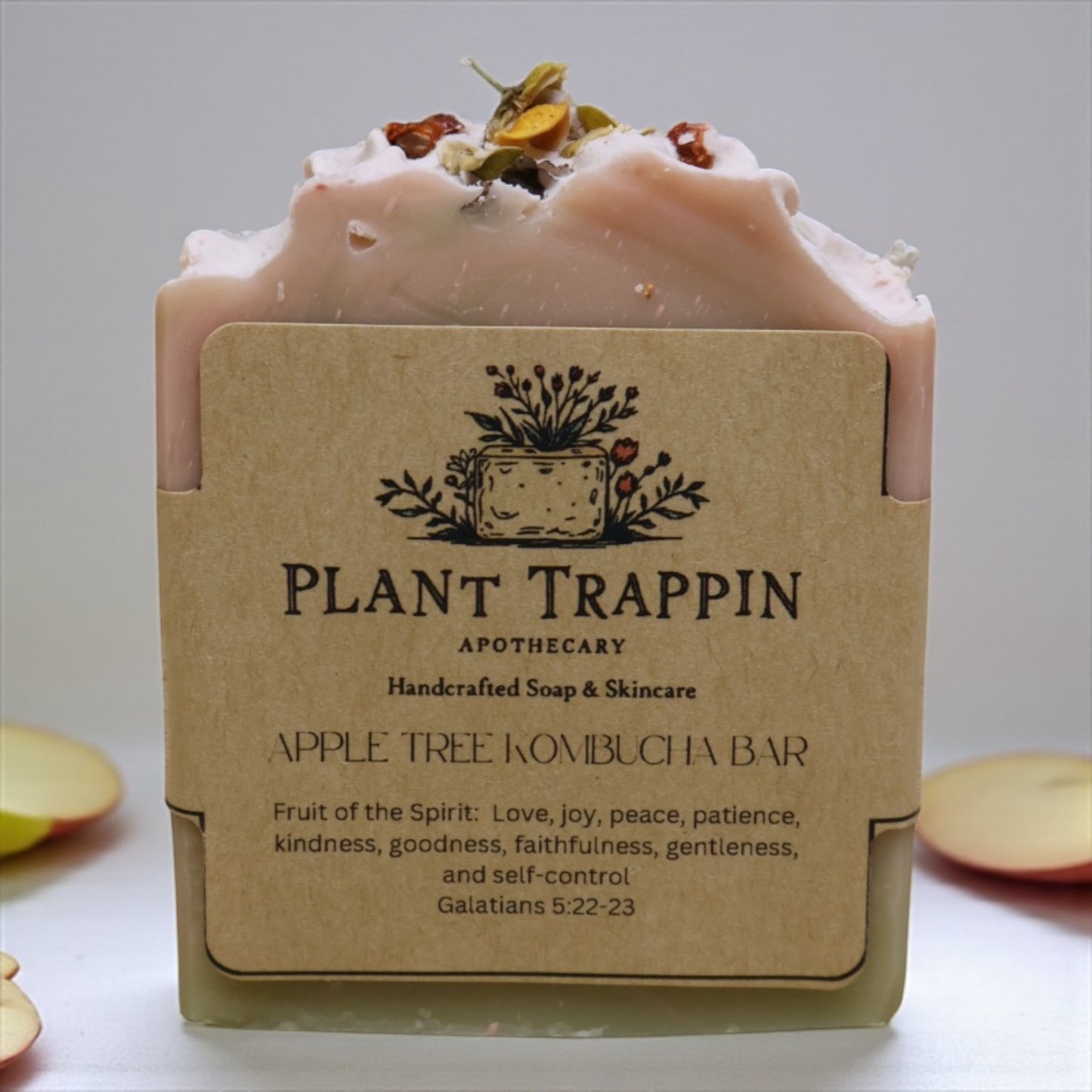 Apple Tree Kombucha Bar -🍏 Brighten + Balance | Apple + Ginger Glow