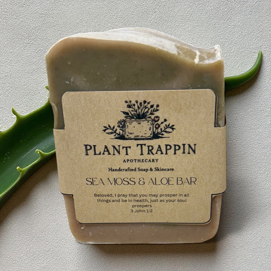 Sea Moss & Aloe Bar – 🌊 Mineral Glow | Detox + Hydrate