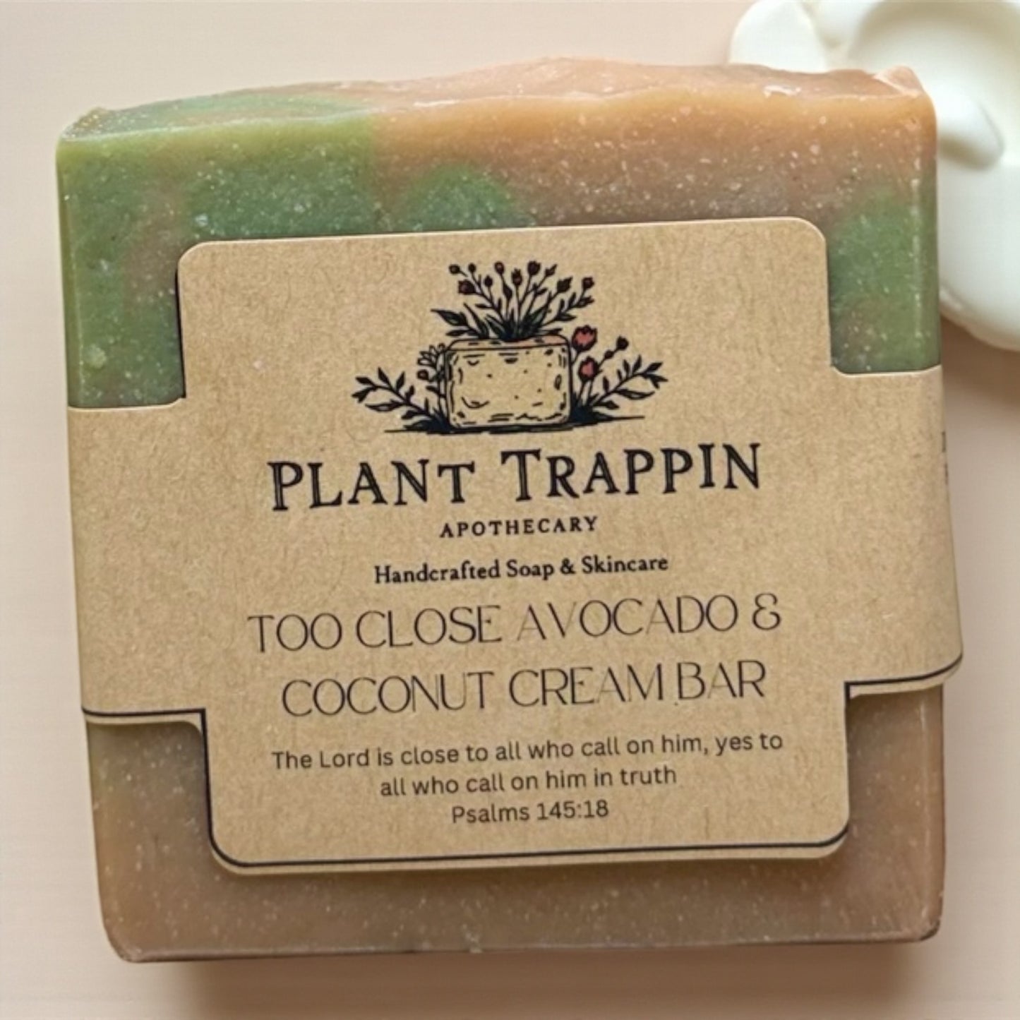Too Close  Bar|🥑Moisture + Glow | Avocado + Coconut Cream Soap